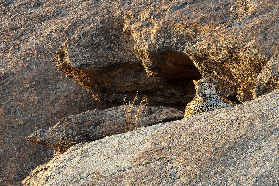 Read more about the article Bera, Rajasthan